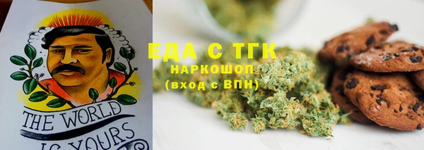 ГАЛЛЮЦИНОГЕННЫЕ ГРИБЫ Богданович