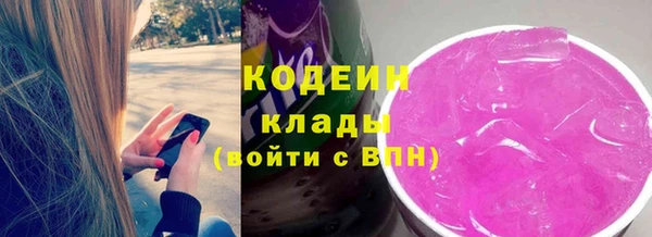 ГАЛЛЮЦИНОГЕННЫЕ ГРИБЫ Богданович