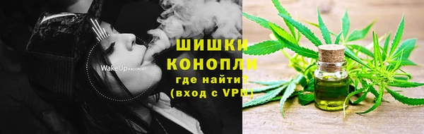 ГАЛЛЮЦИНОГЕННЫЕ ГРИБЫ Богданович