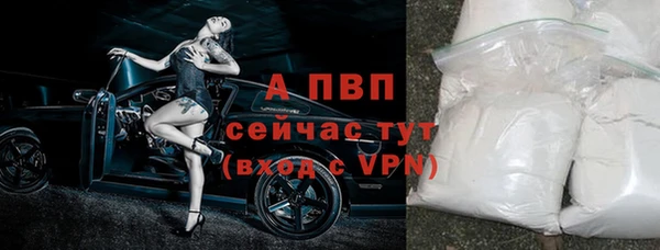 ГАЛЛЮЦИНОГЕННЫЕ ГРИБЫ Богданович