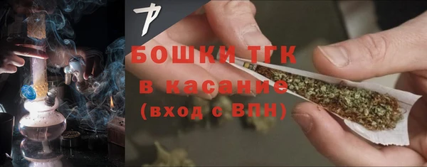 ГАЛЛЮЦИНОГЕННЫЕ ГРИБЫ Богданович