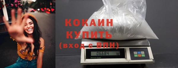 ГАЛЛЮЦИНОГЕННЫЕ ГРИБЫ Богданович