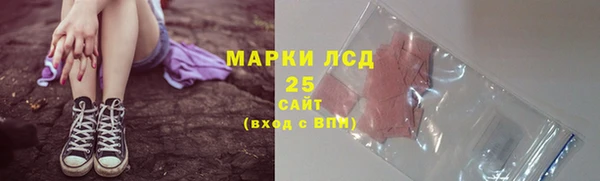 ГАЛЛЮЦИНОГЕННЫЕ ГРИБЫ Богданович