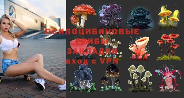 мефедрон Богородицк