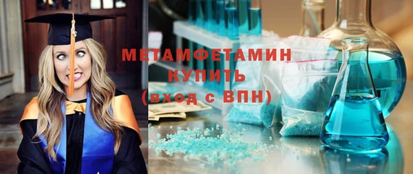 ГАЛЛЮЦИНОГЕННЫЕ ГРИБЫ Богданович
