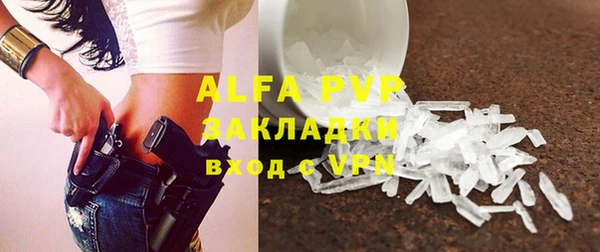 ГАЛЛЮЦИНОГЕННЫЕ ГРИБЫ Богданович